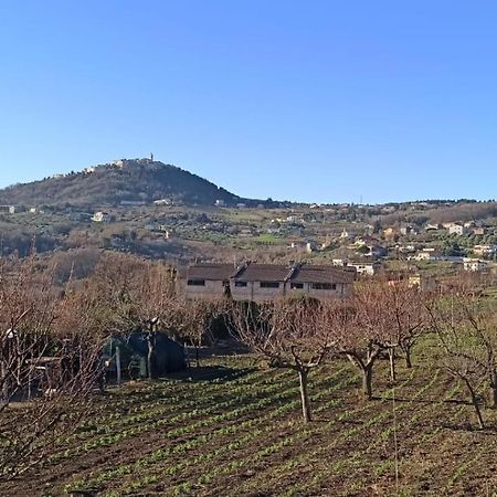 Natura Affittacamere Campobasso Bagian luar foto