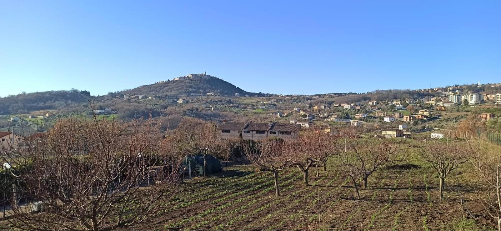 Natura Affittacamere Campobasso Bagian luar foto